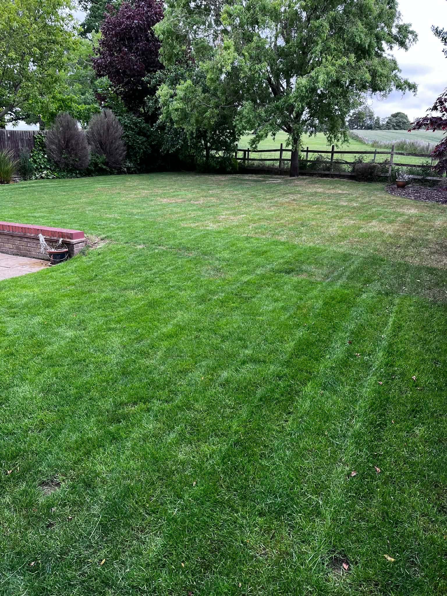 After image of grass that has just been cut.