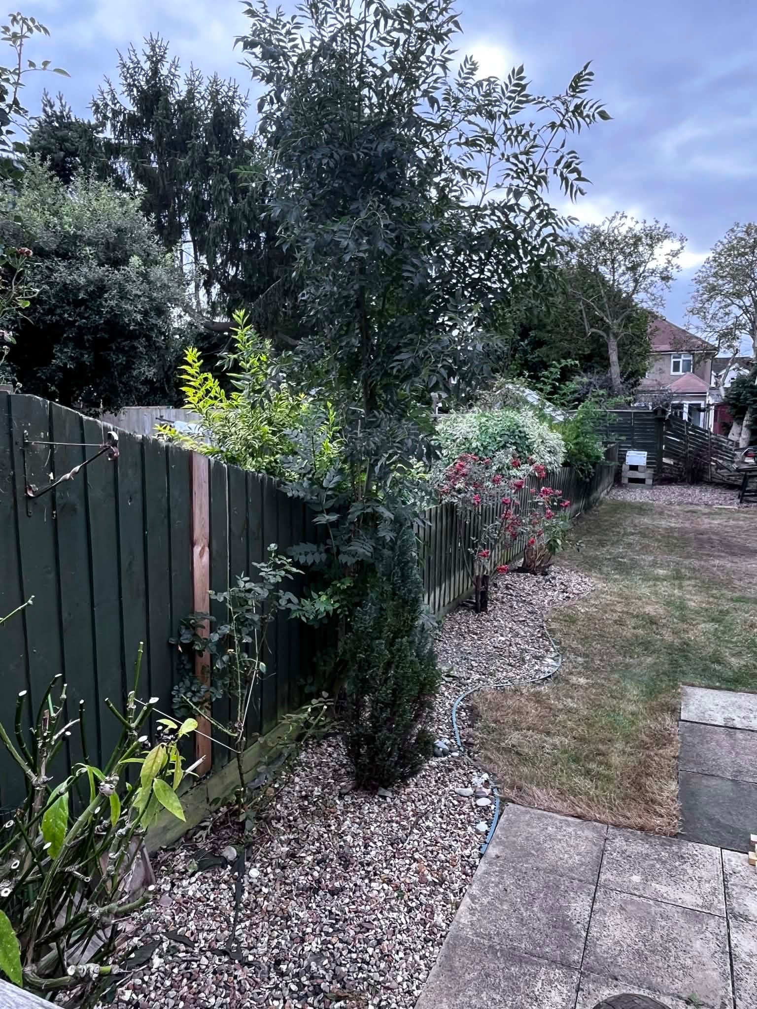 Customers garden that has been worked on by Ladies Who Lawn.
