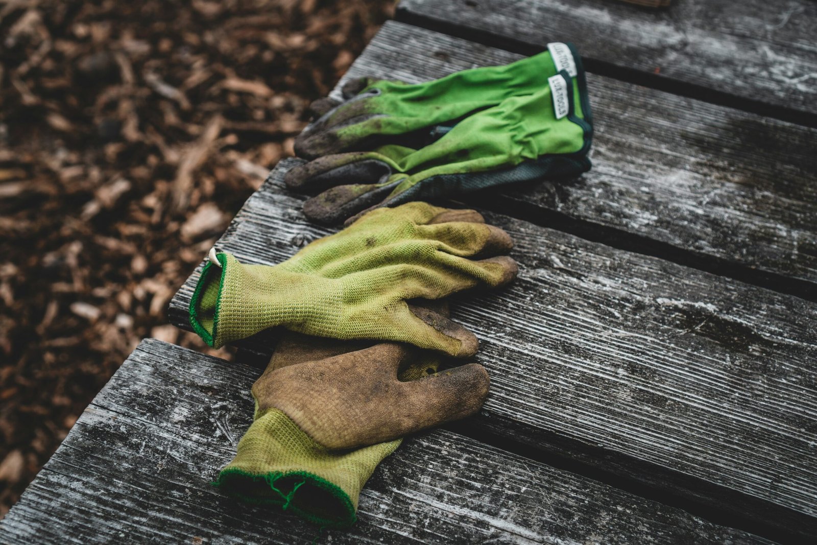 Three Gardening gloves perched on a block of wood.