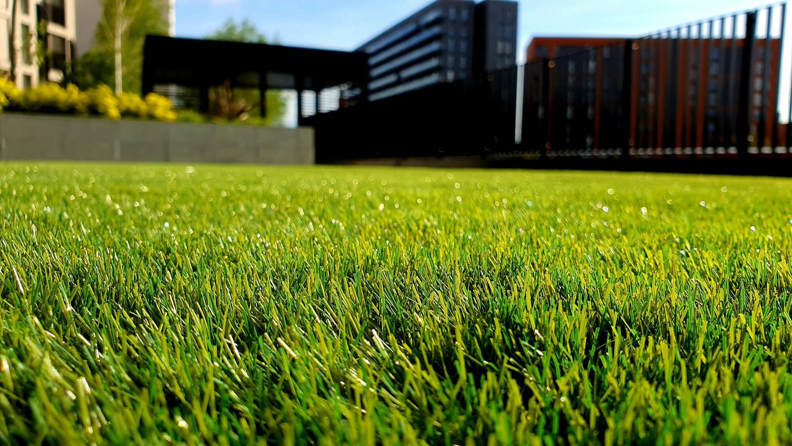 Close up of cut grass.