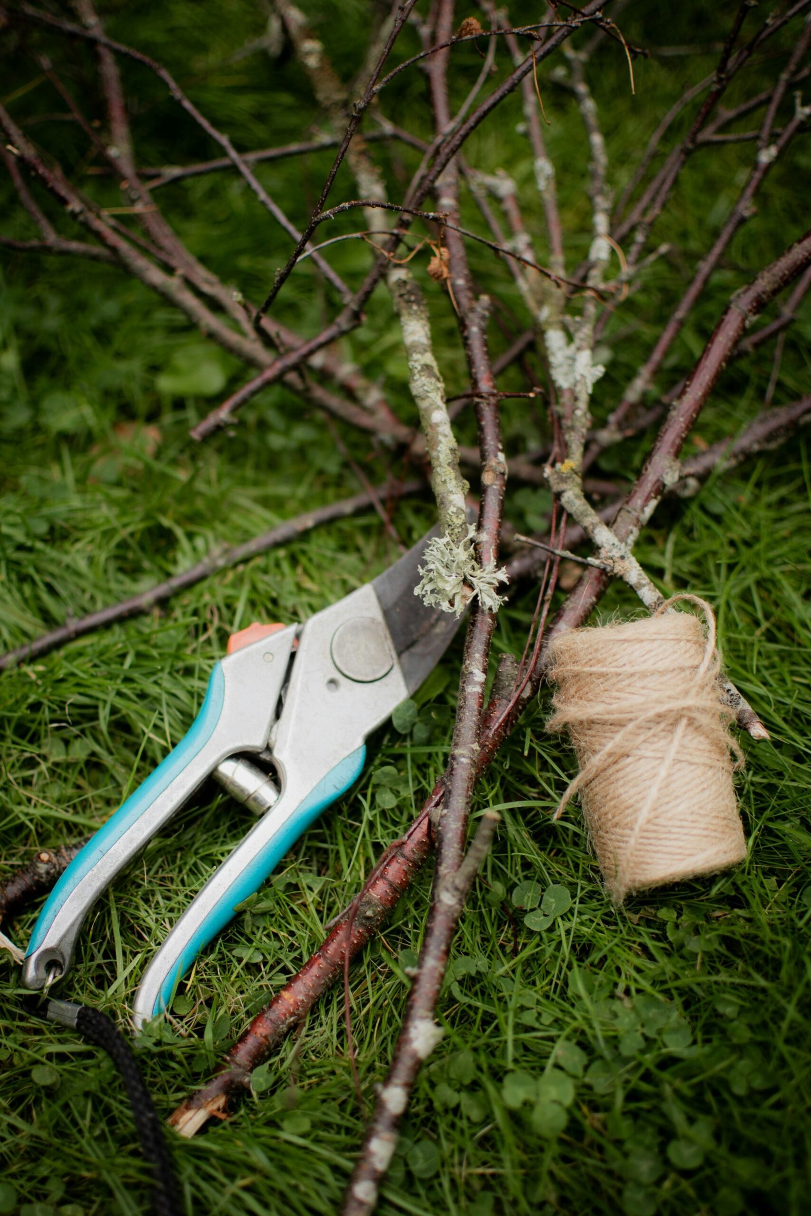 Branches laying on grass next to a gardening tool and string.