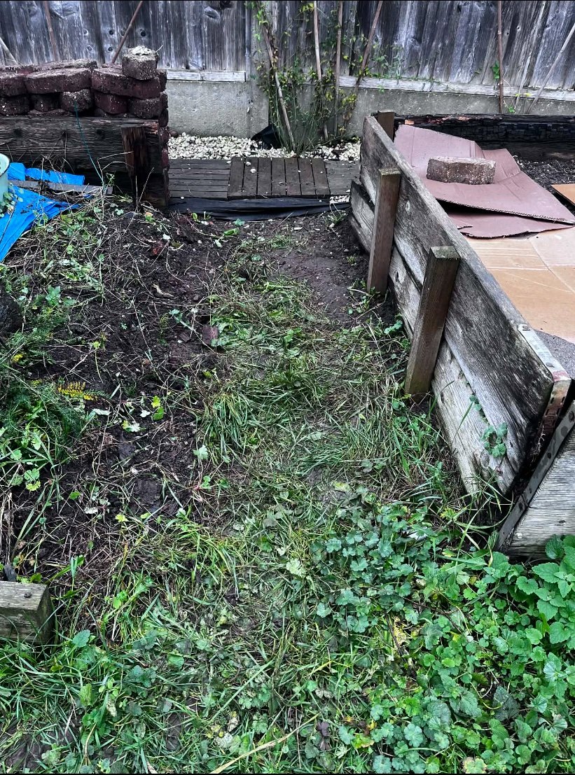 Messy weeds and grass covering up a garden alleyway.