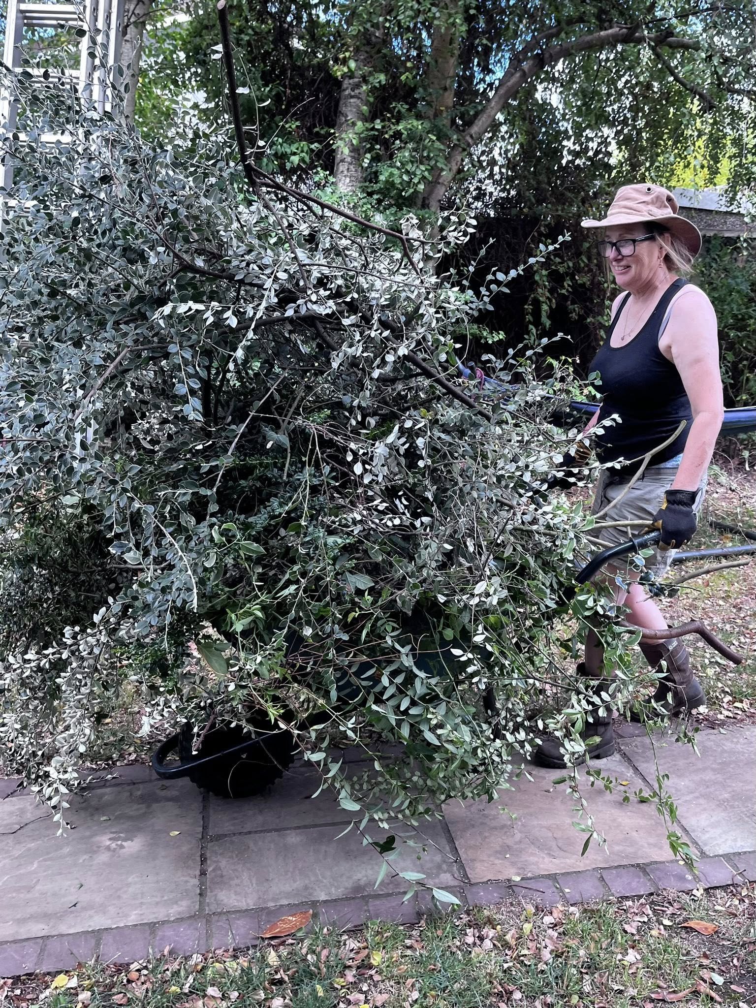 Sheila-Ann carrying a wheelbarrow of dead tree branches.